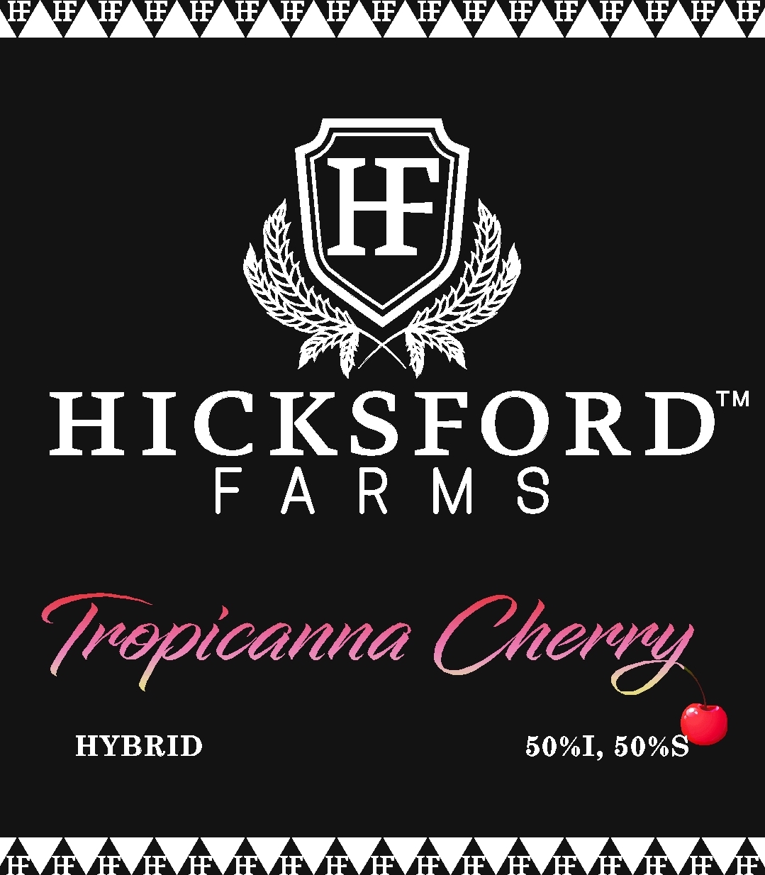 Tropicanna Cherry Hicksford Farms Strain information card