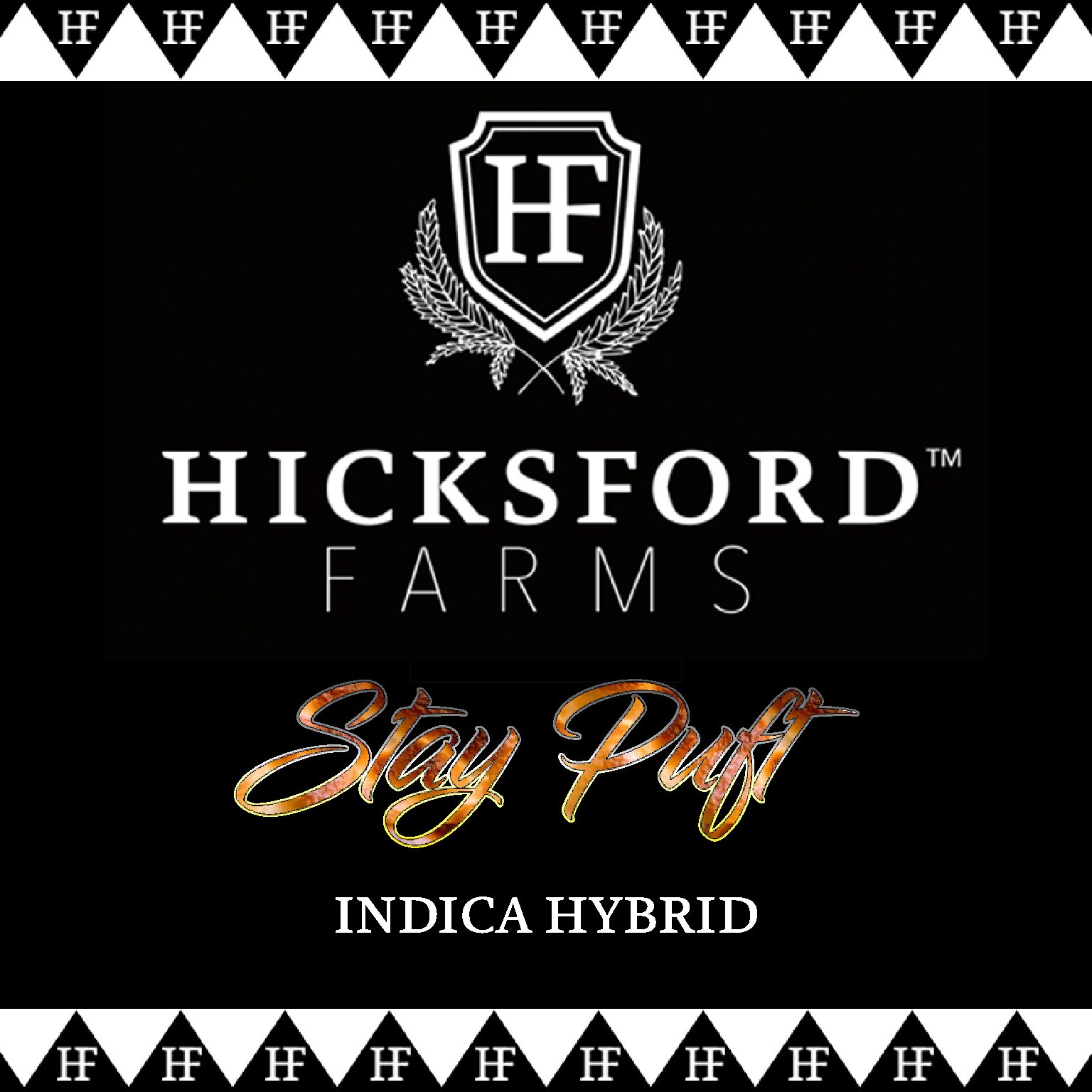 Skywalker OG Strain Information Hicksford Farms Good Oil Boys