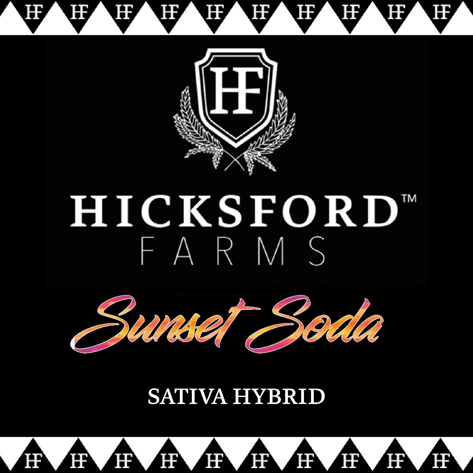 Sunset Soda Strain Information Hicksford Farms Good Oil Boys