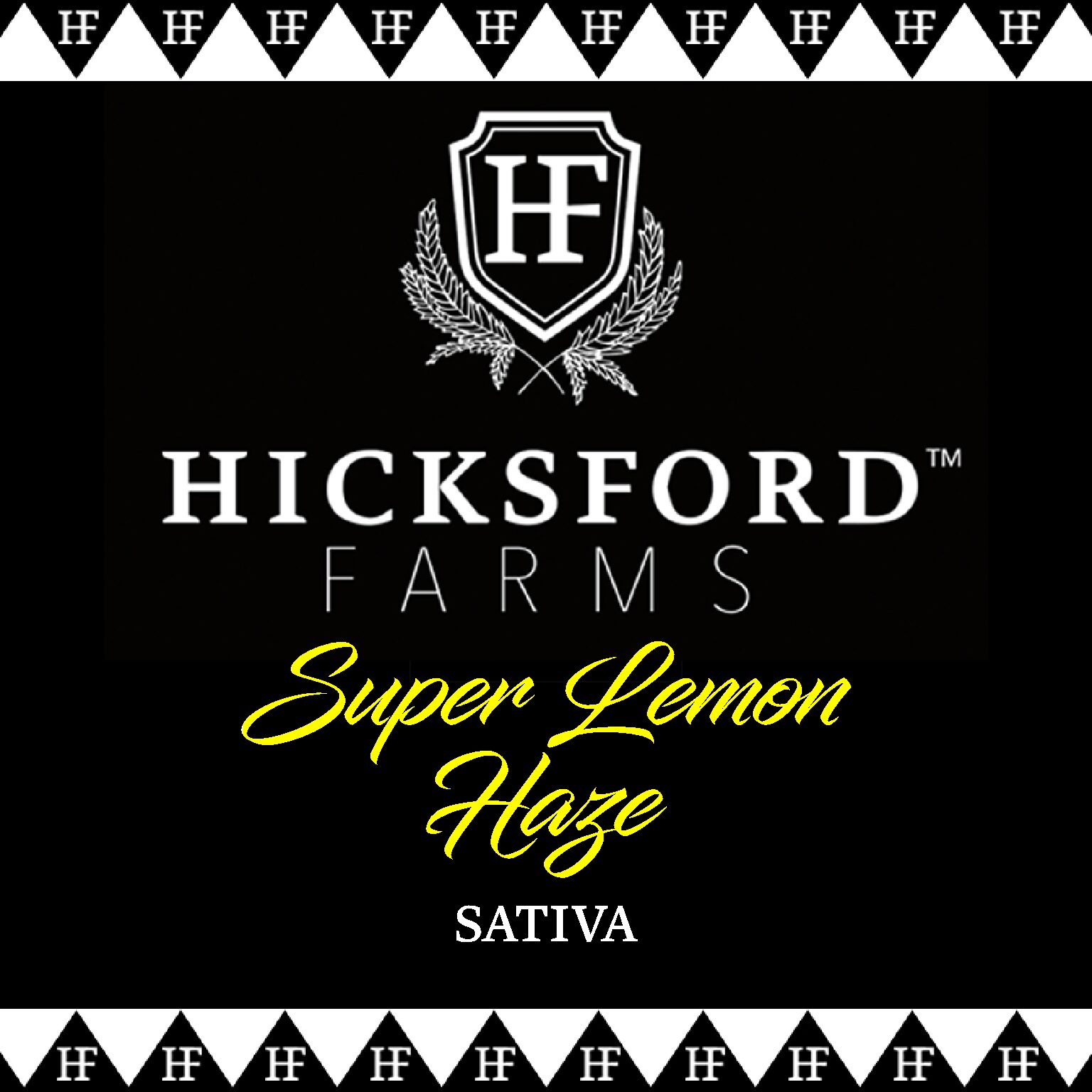 Super Lemon Haze Strain Information Hicksford Farms Good Oil Boys