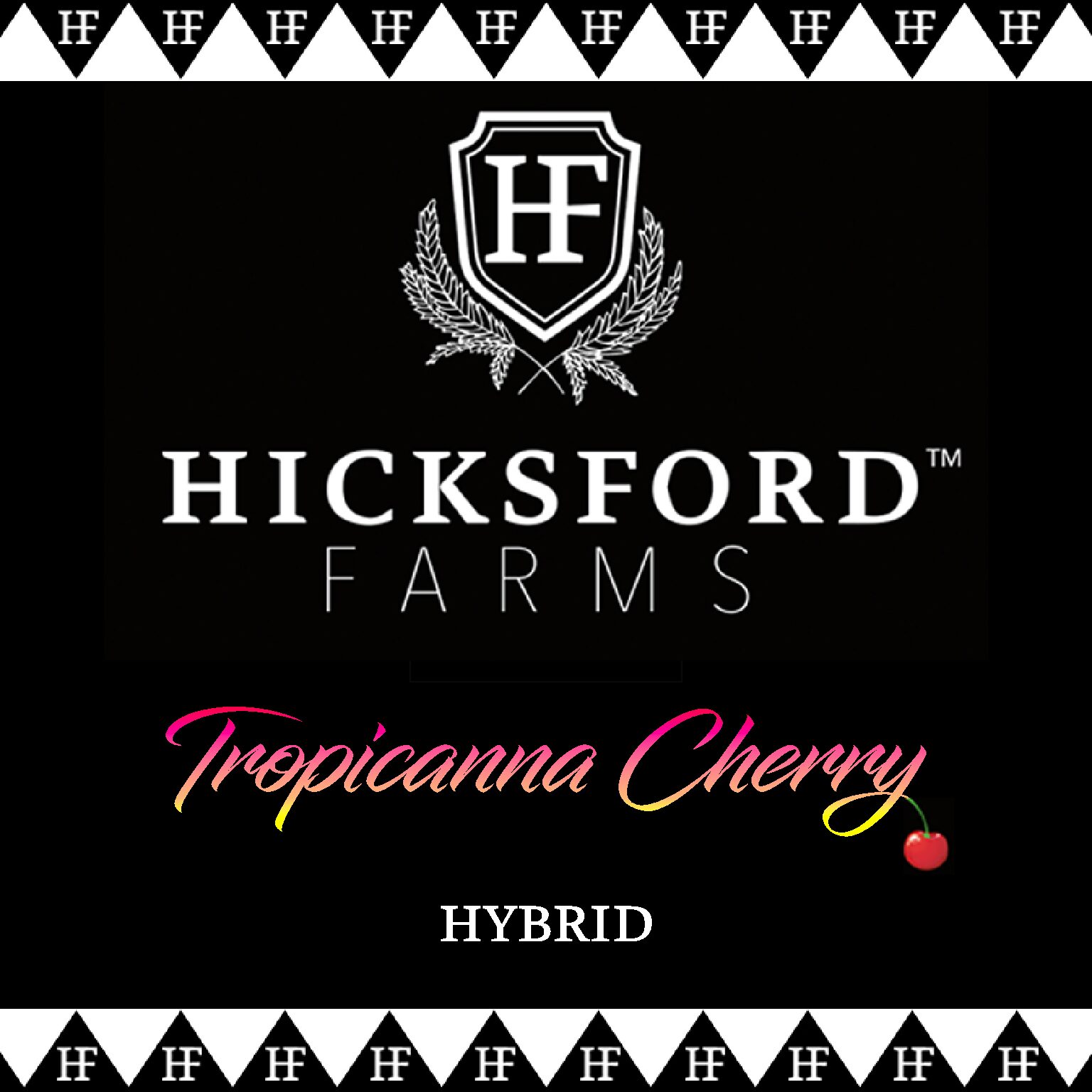 Tropicanna Cherry Hicksford Farms Strain information card